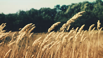 一键解决问题的轰炸手机软件